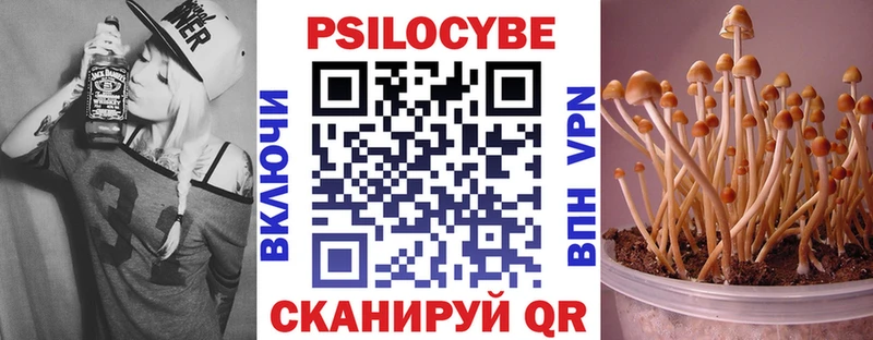 Галлюциногенные грибы мицелий  Пятигорск 
